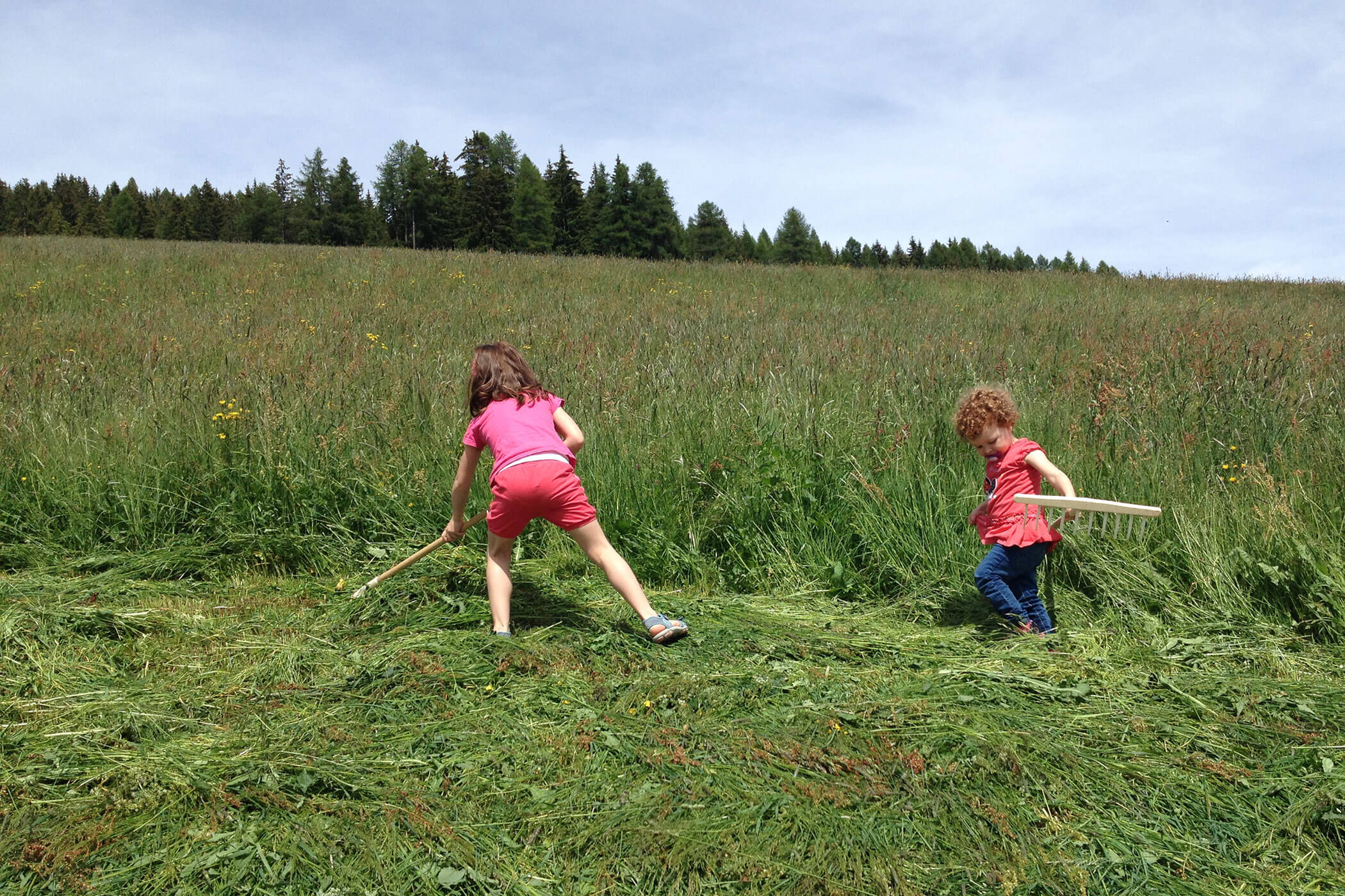 Zwei Kinder helfen bei der Feldarbeit - Scheaterhof